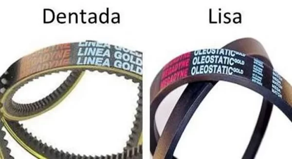 Correia Transmissão