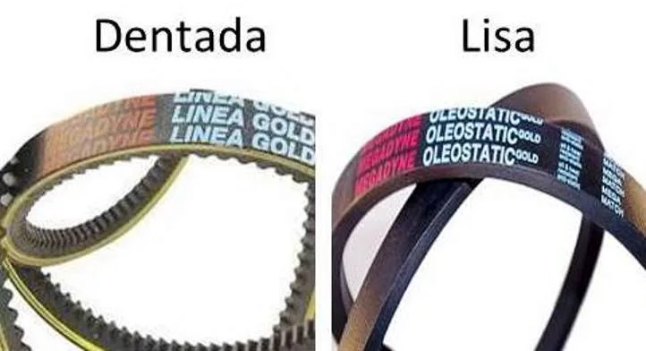 Correia Transmissão